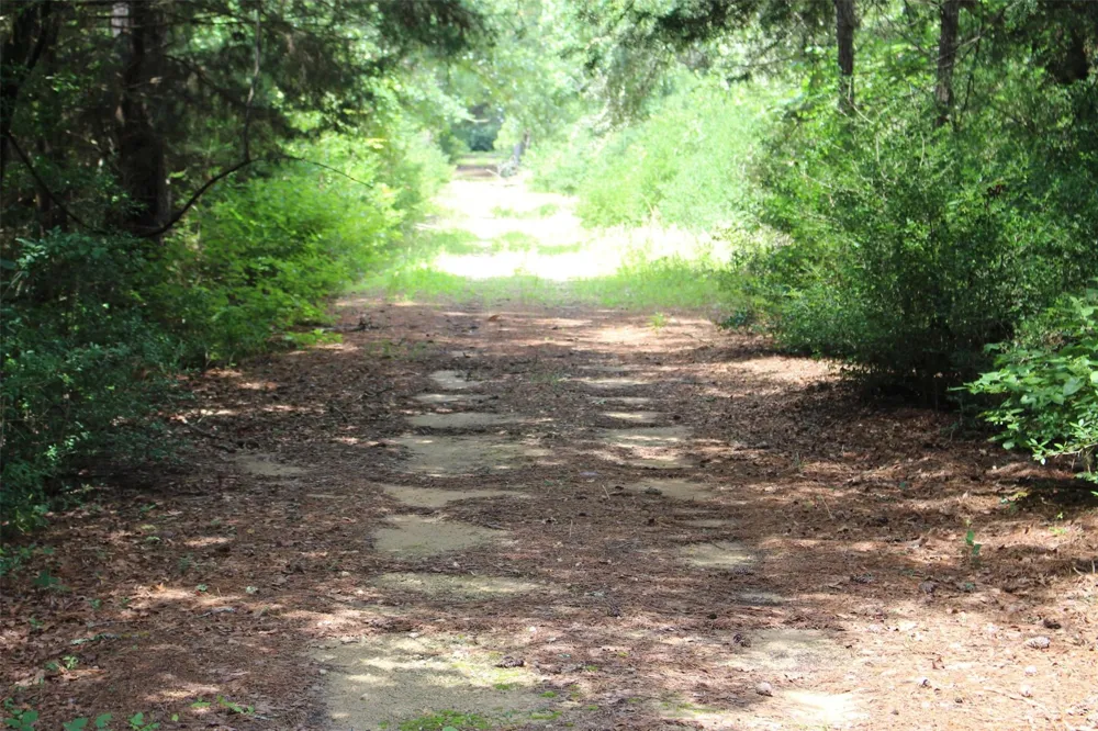 164 Private Road 1311 Centerville, TX 75833