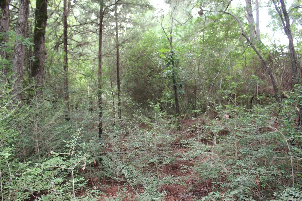 164 Private Road 1311 Centerville, TX 75833