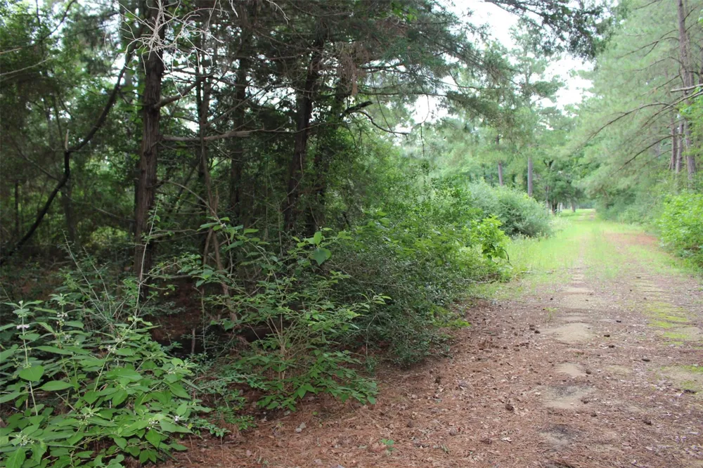 164 Private Road 1311 Centerville, TX 75833
