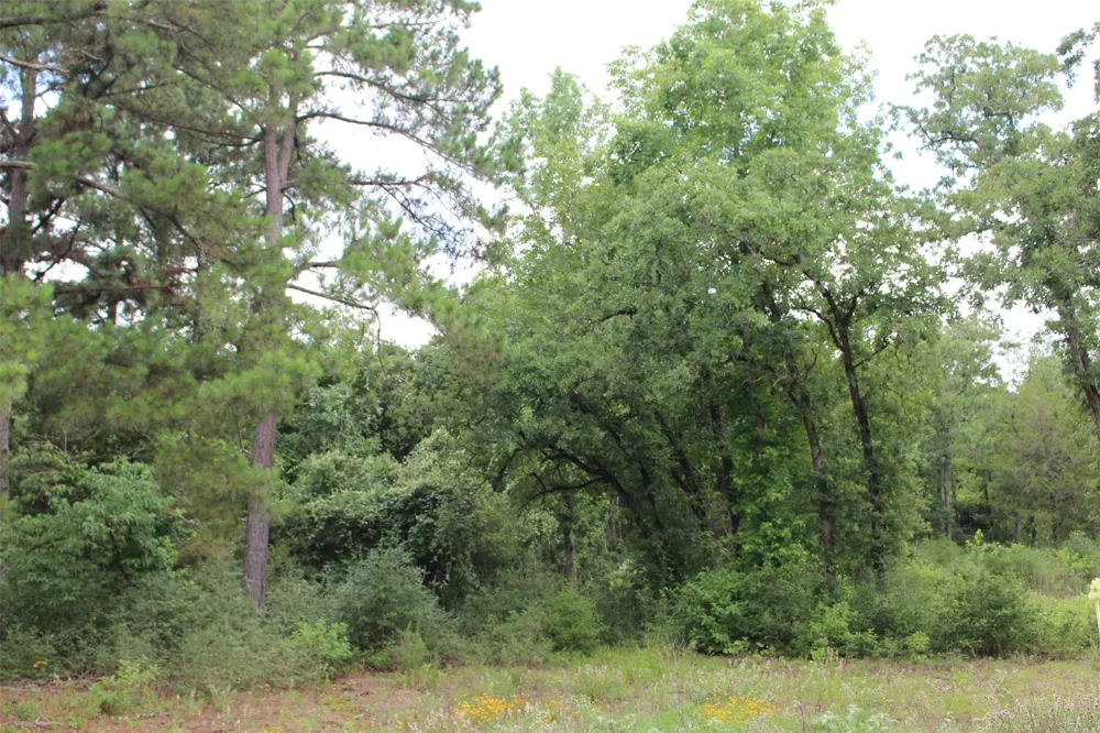 164 Private Road 1311 Centerville, TX 75833