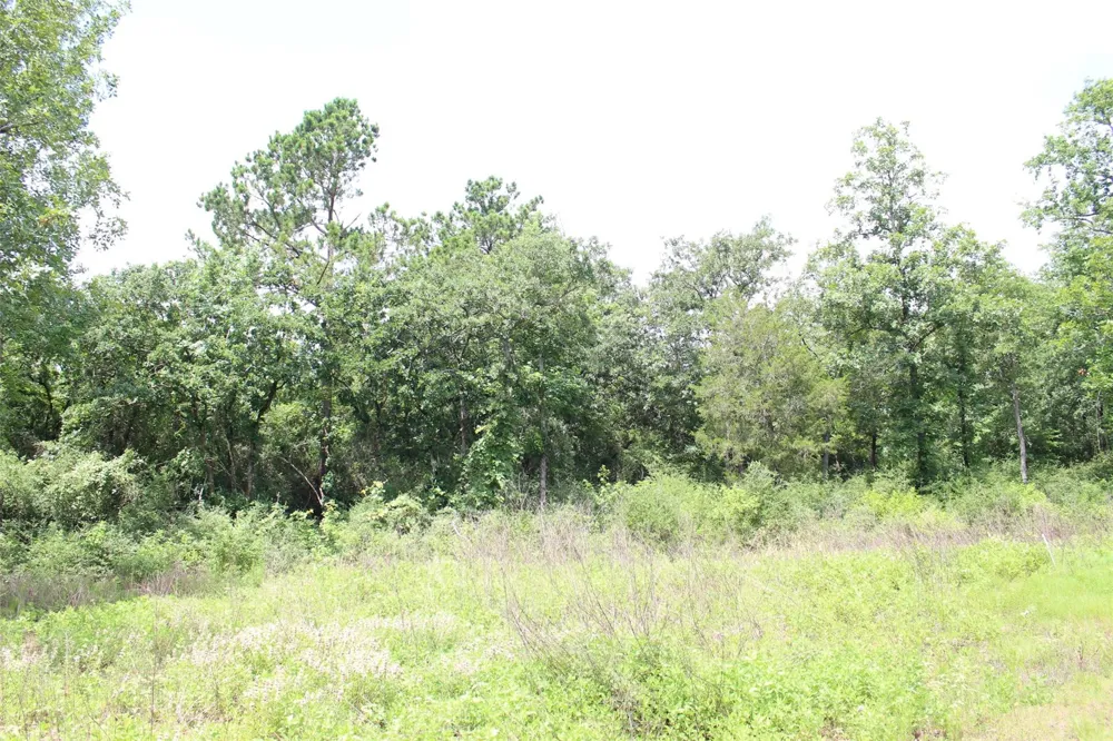 164 Private Road 1311 Centerville, TX 75833