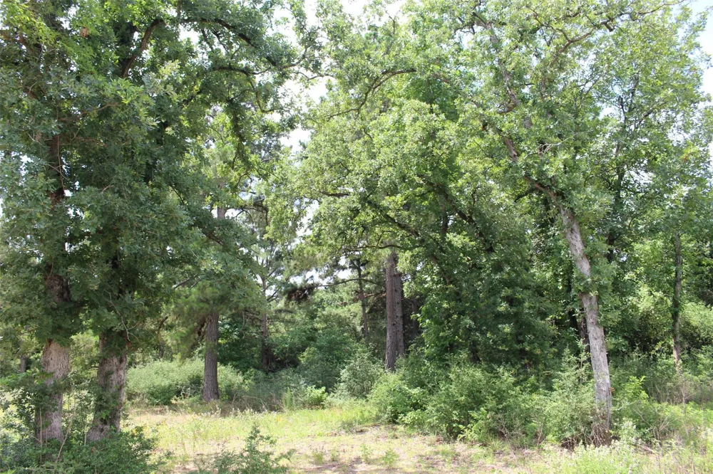 164 Private Road 1311 Centerville, TX 75833