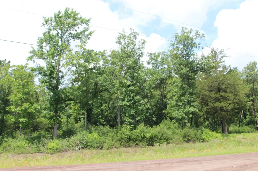 164 Private Road 1311 Centerville, TX 75833
