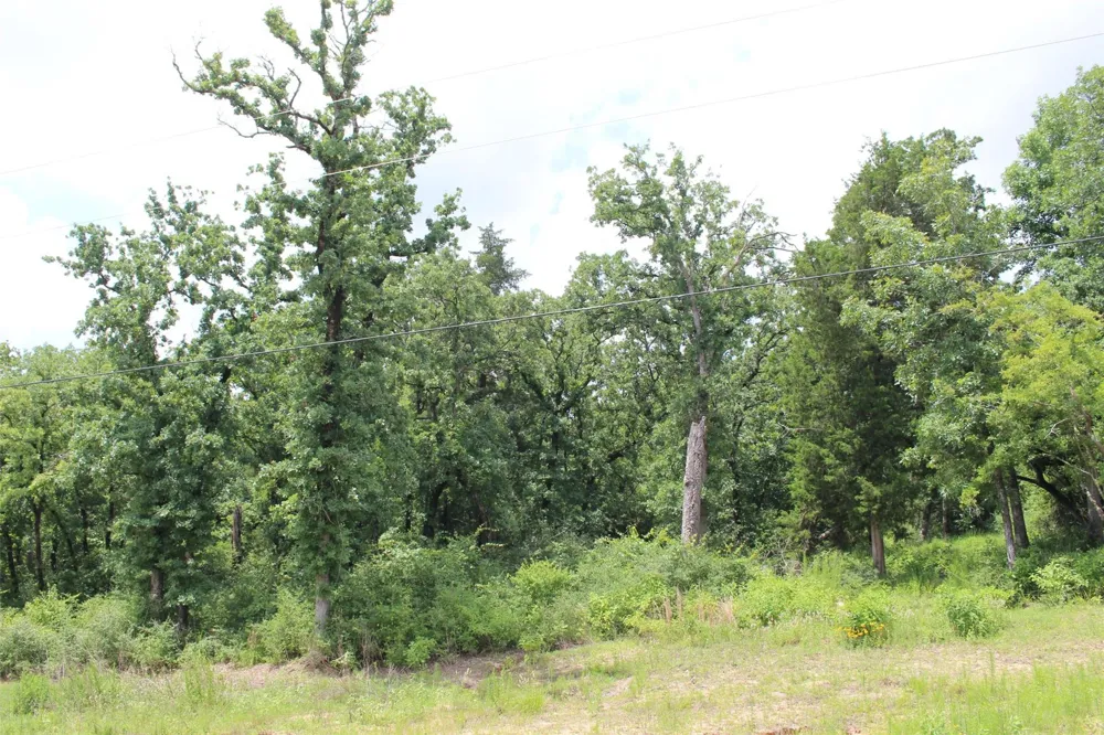 164 Private Road 1311 Centerville, TX 75833