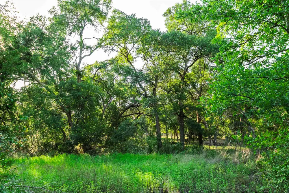 12175 US Hwy 183 Florence, TX 76527