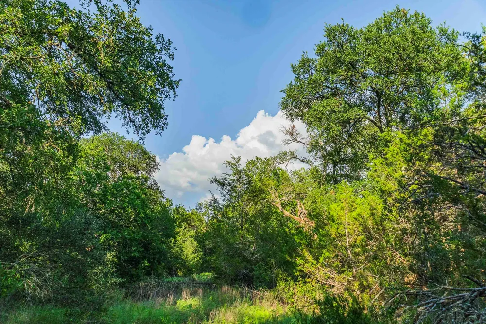 12175 US Hwy 183 Florence, TX 76527