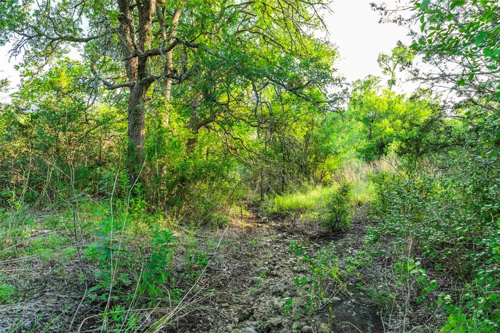 12175 US Hwy 183 Florence, TX 76527