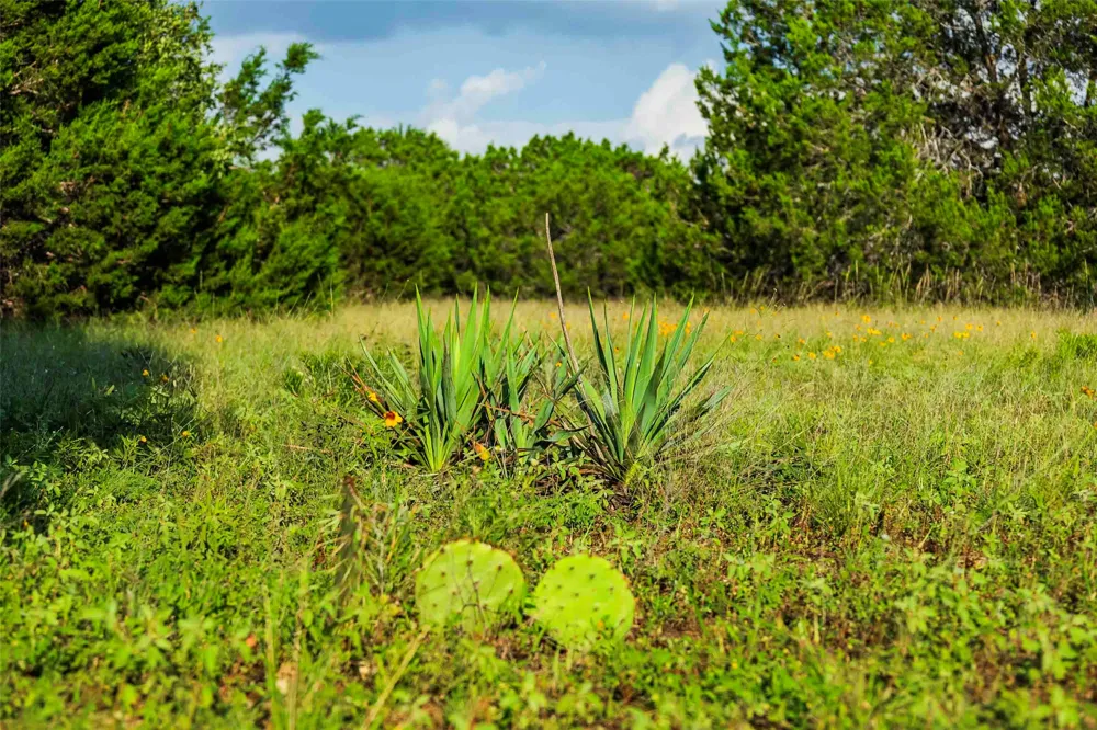 12175 US Hwy 183 Florence, TX 76527