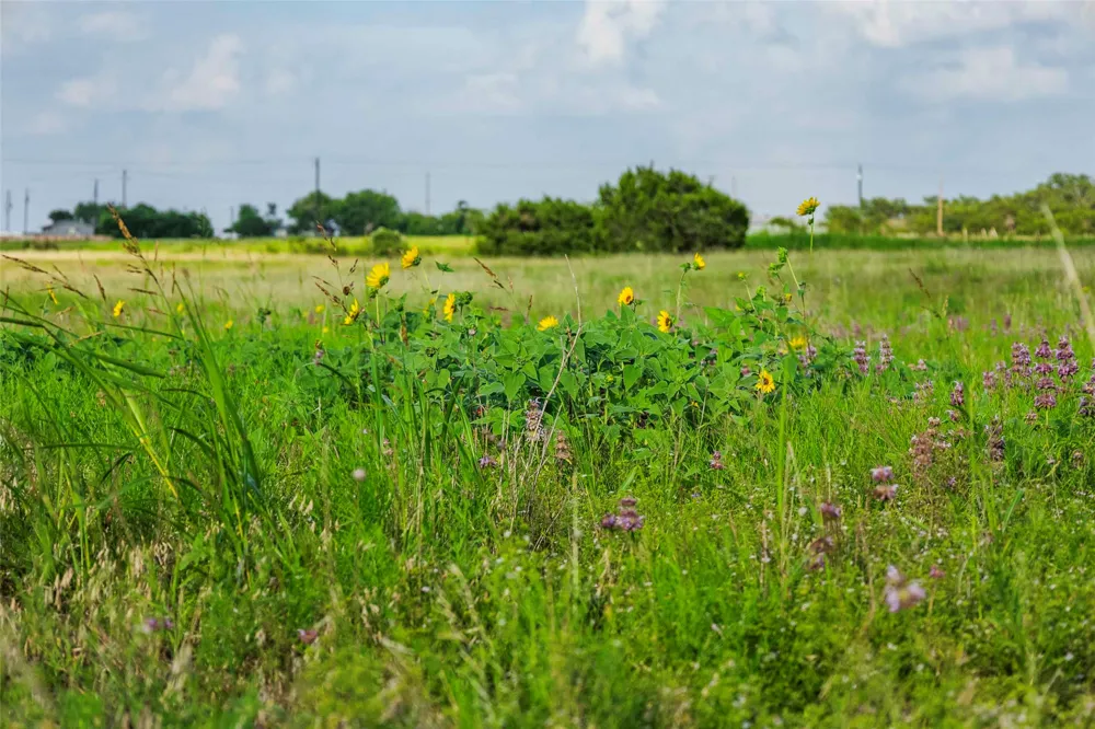 12175 US Hwy 183 Florence, TX 76527