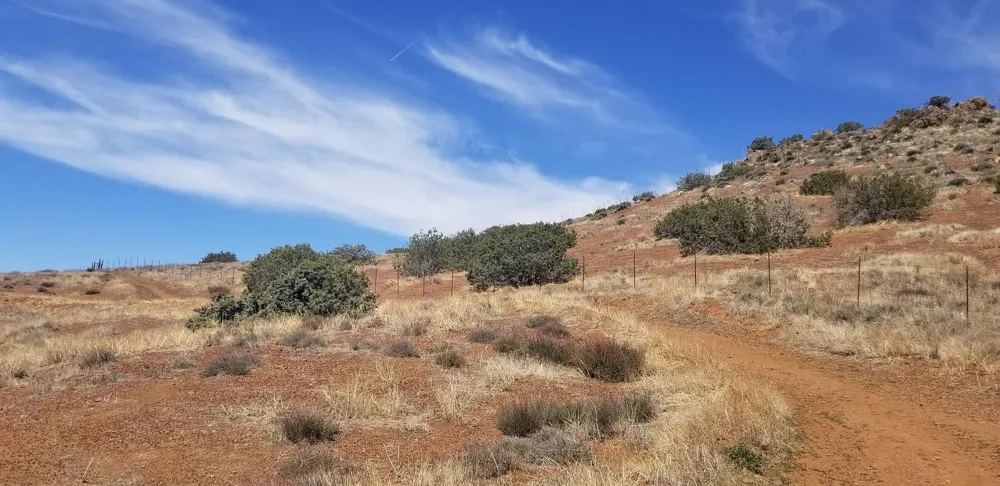 Rolandee Street Acton, CA 93510