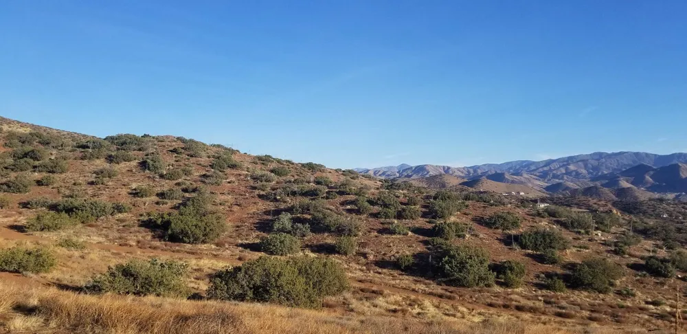Rolandee Street Acton, CA 93510