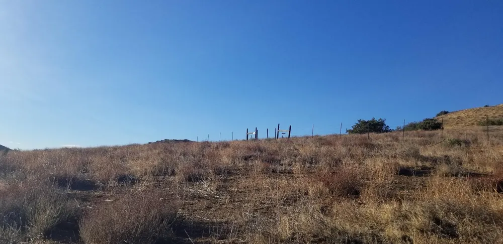 Rolandee Street Acton, CA 93510