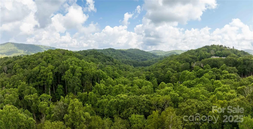 TBD Lot 215 Thunderhill Trail #215 Blowing Rock, NC 28605