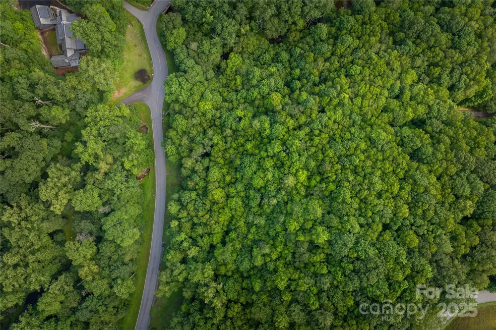 TBD Lot 106 Firethorn Trail #106 Blowing Rock, NC 28605