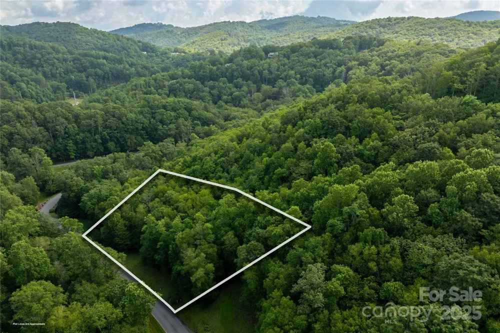 TBD Lot 106 Firethorn Trail #106 Blowing Rock, NC 28605