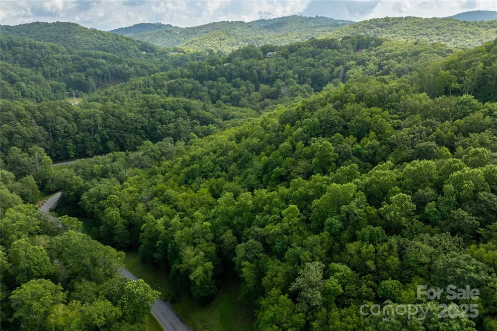 TBD Lot 106 Firethorn Trail #106 Blowing Rock, NC 28605