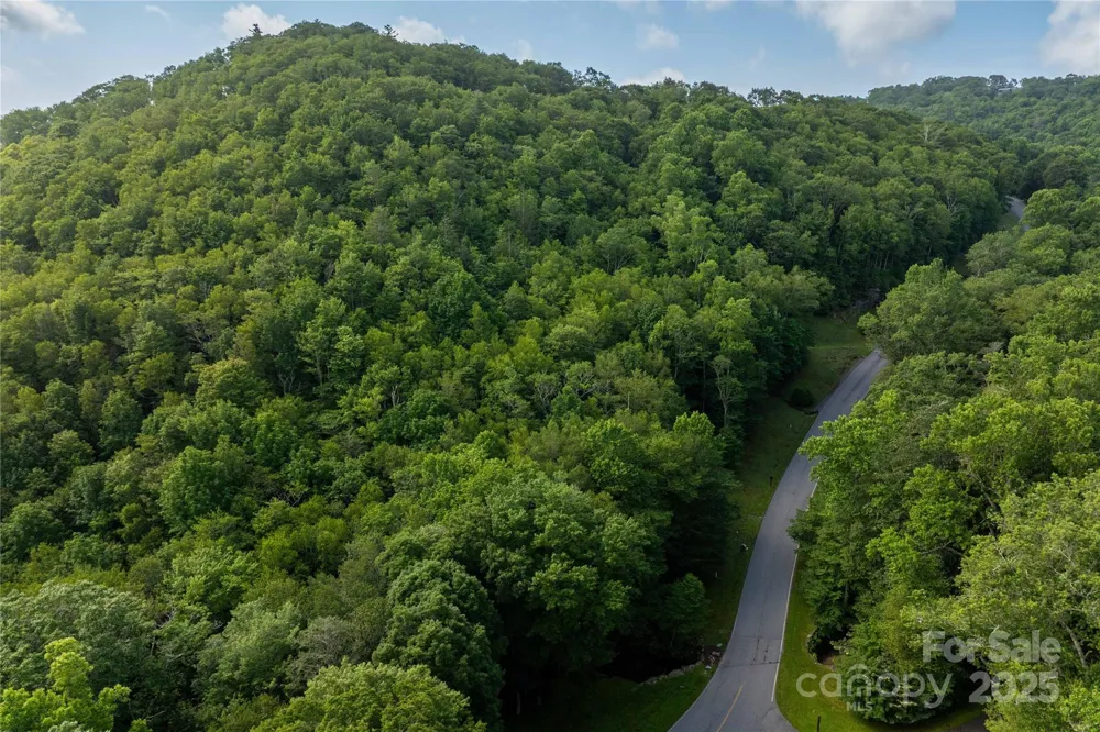TBD Lot 106 Firethorn Trail #106 Blowing Rock, NC 28605