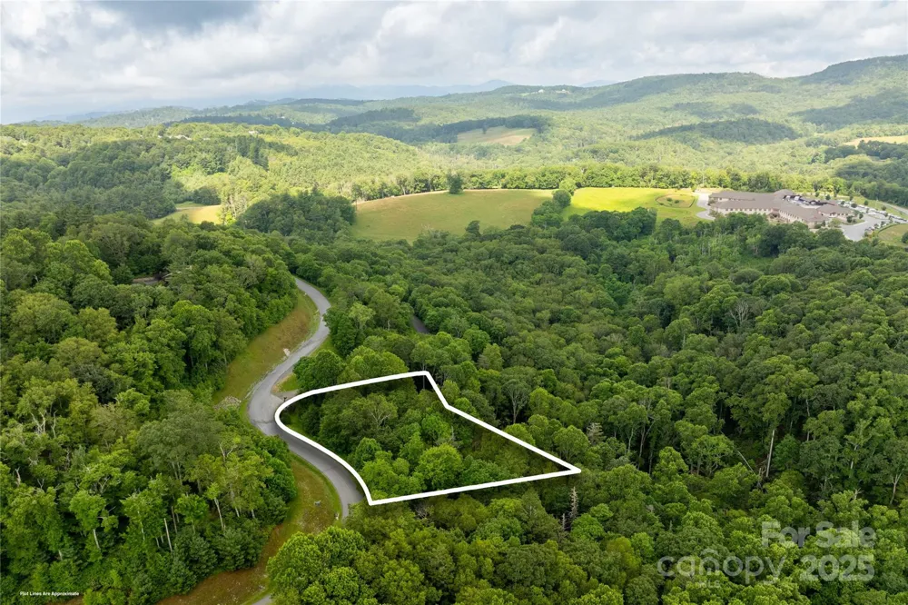 TBD Lot 217 Thunderhill Trail #217 Blowing Rock, NC 28605