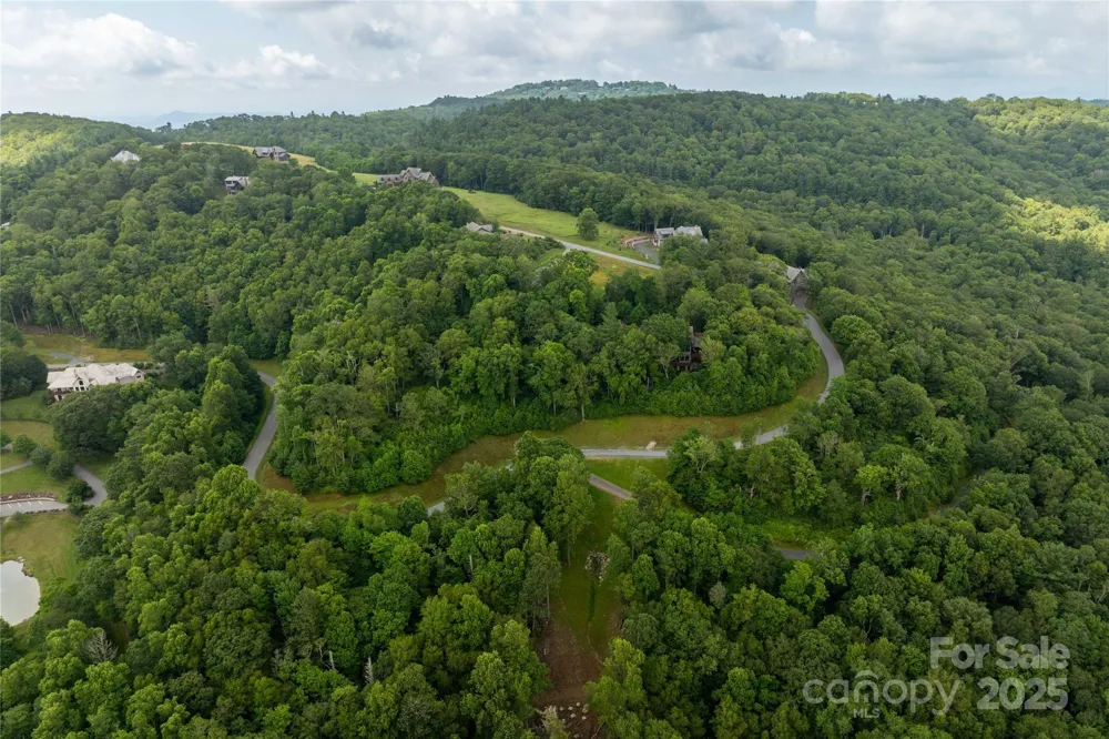 TBD Lot 217 Thunderhill Trail #217 Blowing Rock, NC 28605