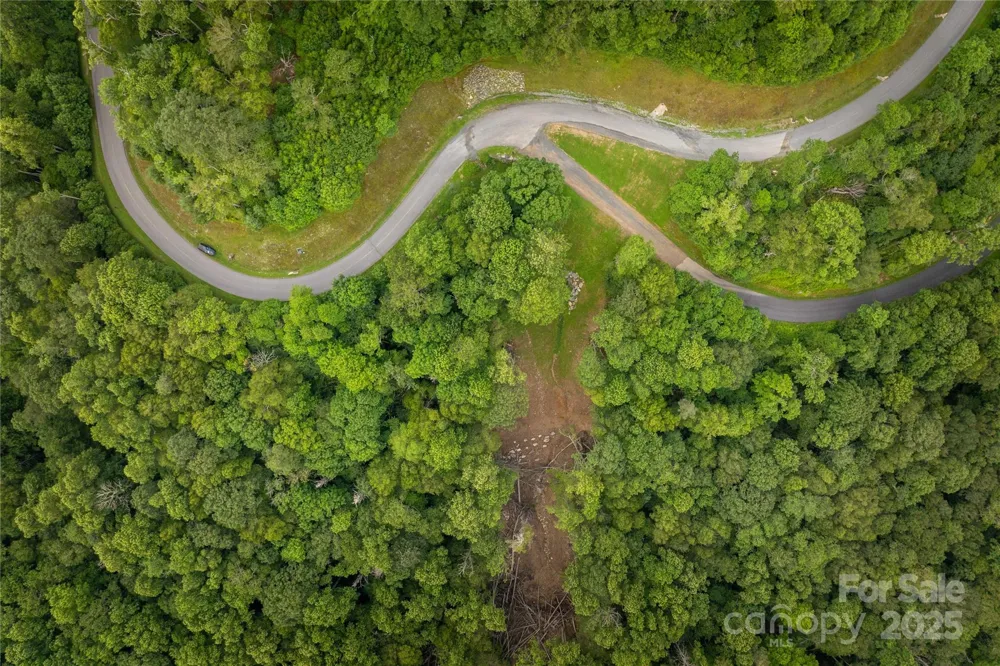 TBD Lot 217 Thunderhill Trail #217 Blowing Rock, NC 28605