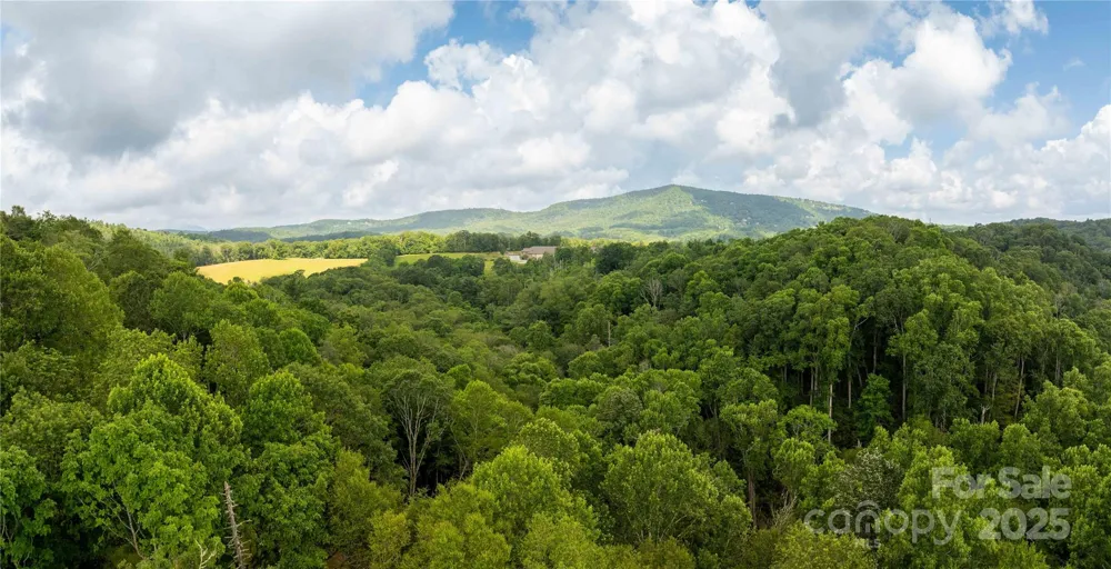 TBD Lot 217 Thunderhill Trail #217 Blowing Rock, NC 28605