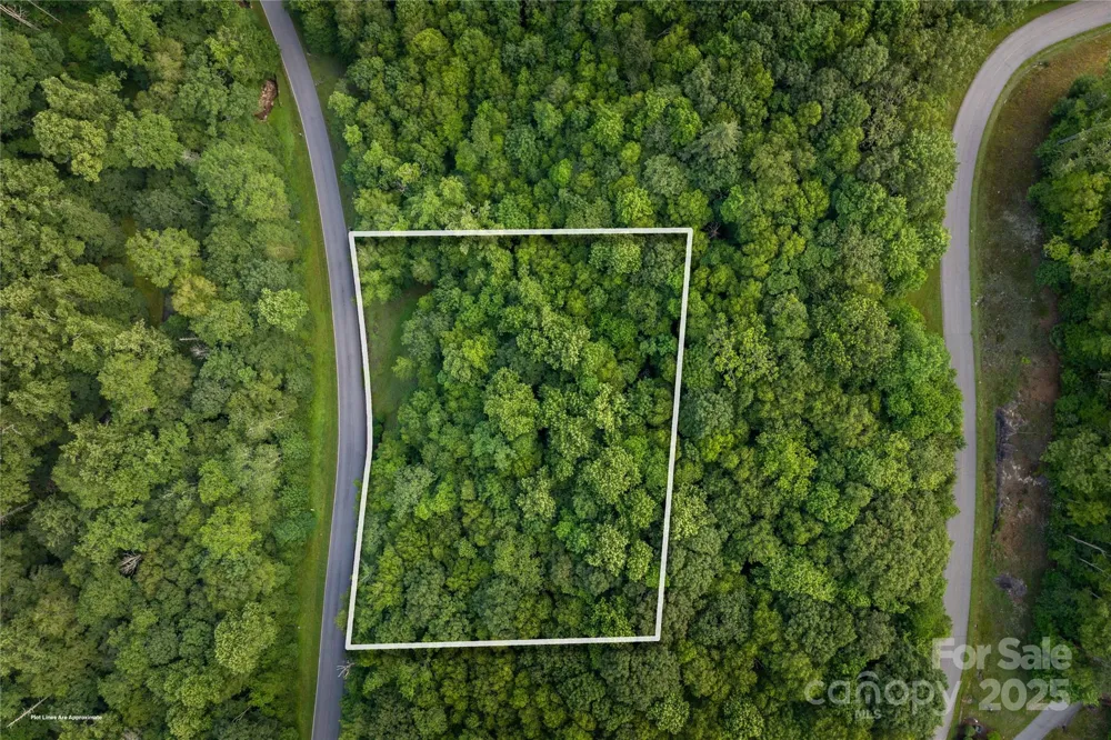 TBD Lot 107 Firethorn Trail #107 Blowing Rock, NC 28605