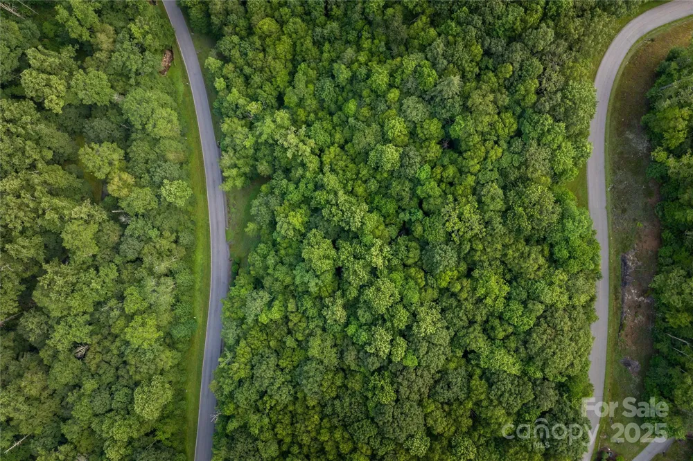 TBD Lot 107 Firethorn Trail #107 Blowing Rock, NC 28605