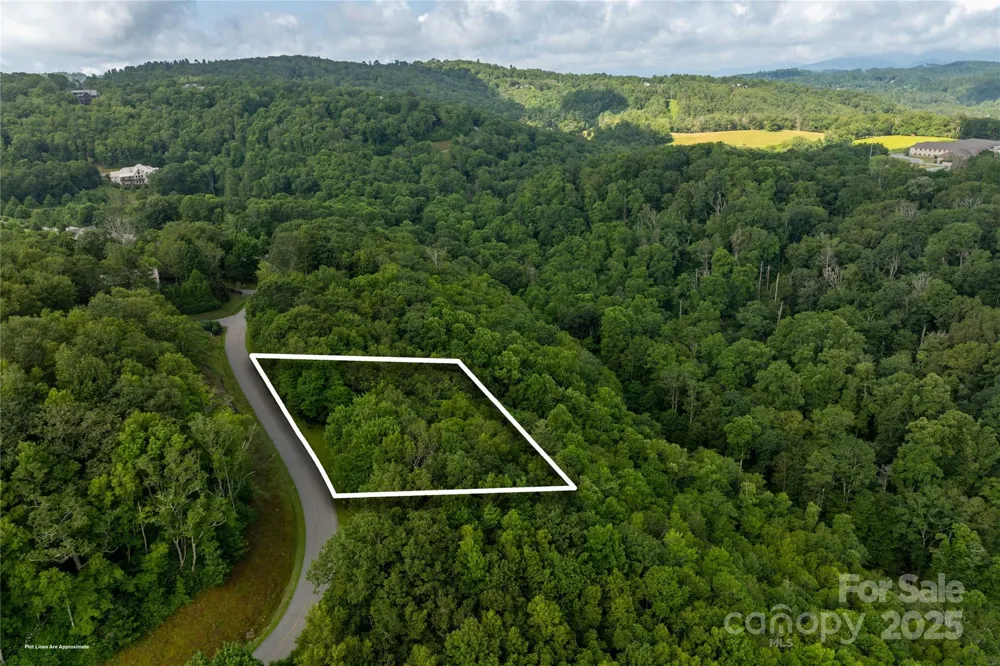 TBD Lot 121 Firethorn Trail #121 Blowing Rock, NC 28605