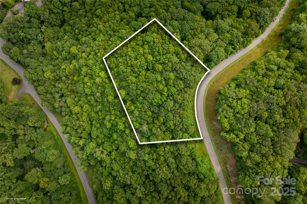 TBD Lot 122 Firethorn Trail #122 Blowing Rock, NC 28605
