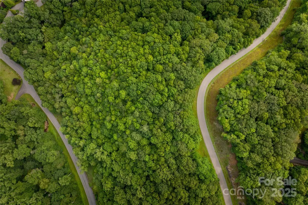 TBD Lot 122 Firethorn Trail #122 Blowing Rock, NC 28605