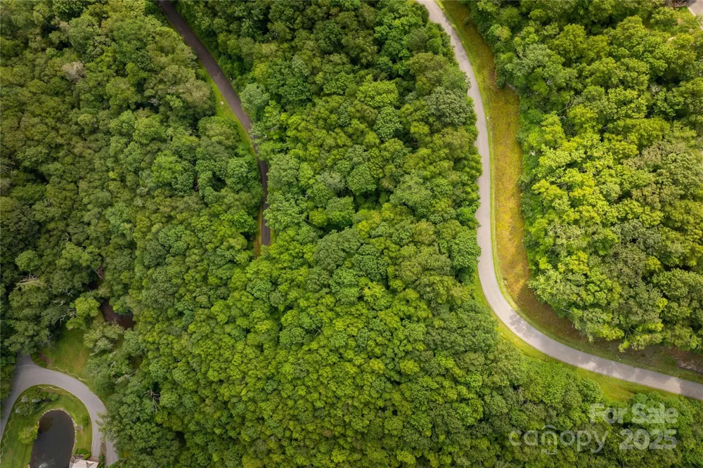 TBD Lot 123 Firethorn Trail #123 Blowing Rock, NC 28605