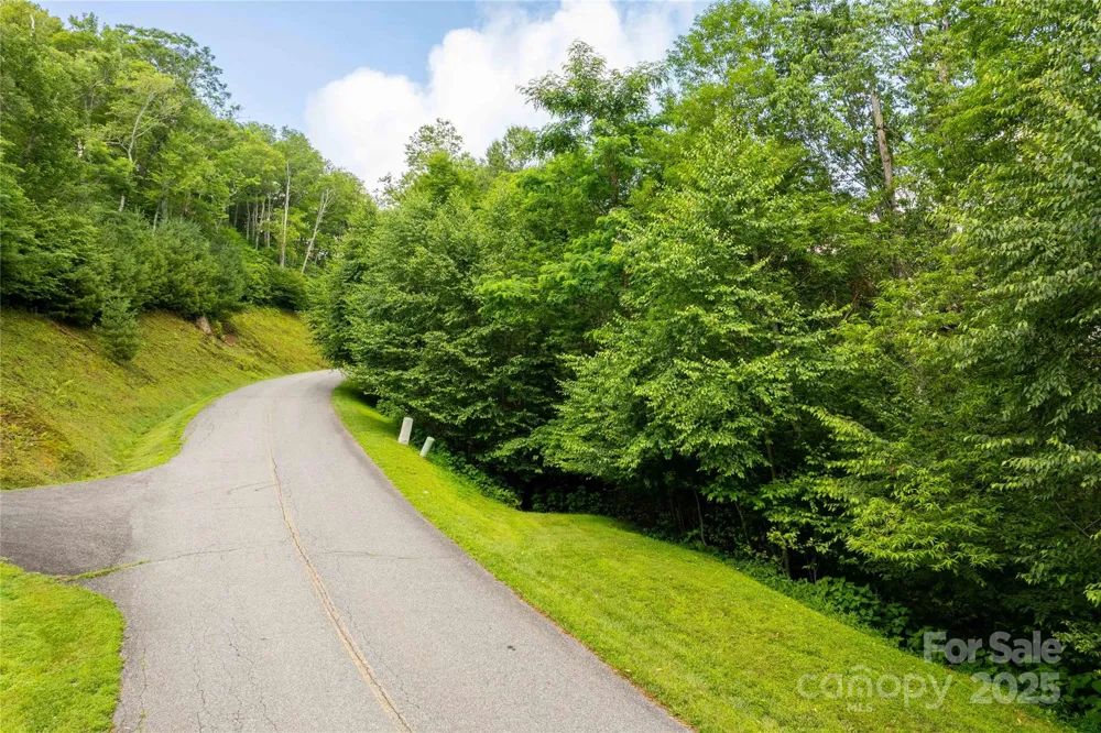 TBD Lot 123 Firethorn Trail #123 Blowing Rock, NC 28605