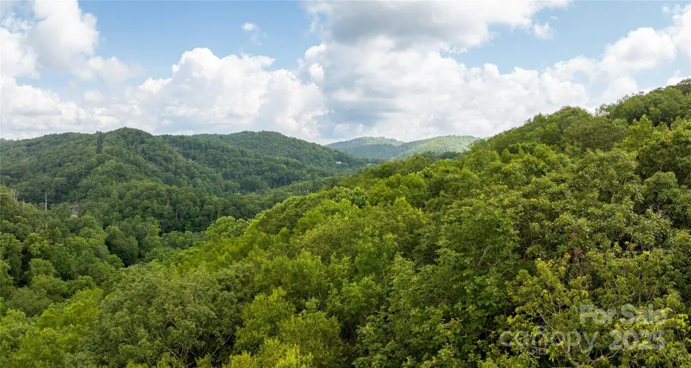 TBD Lot 123 Firethorn Trail #123 Blowing Rock, NC 28605