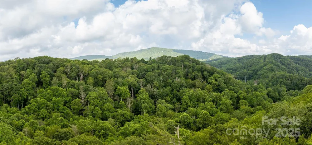 TBD Lot 123 Firethorn Trail #123 Blowing Rock, NC 28605