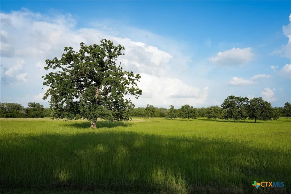 8058 Milam County Road 455 Lexington, TX 78947