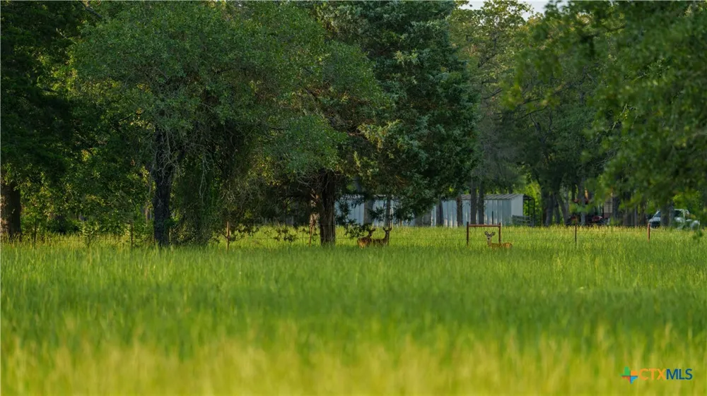 8058 Milam County Road 455 Lexington, TX 78947