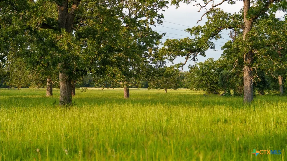8058 Milam County Road 455 Lexington, TX 78947