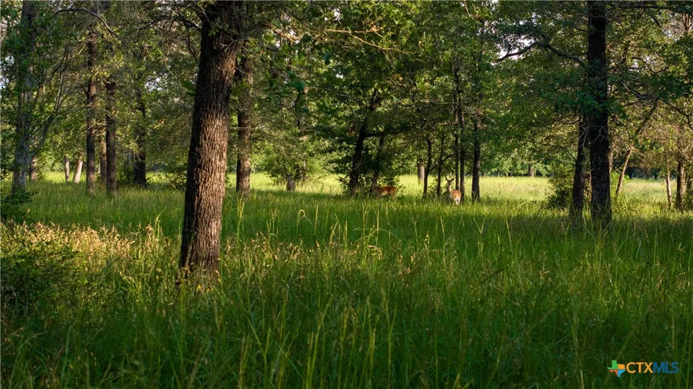 8058 Milam County Road 455 Lexington, TX 78947