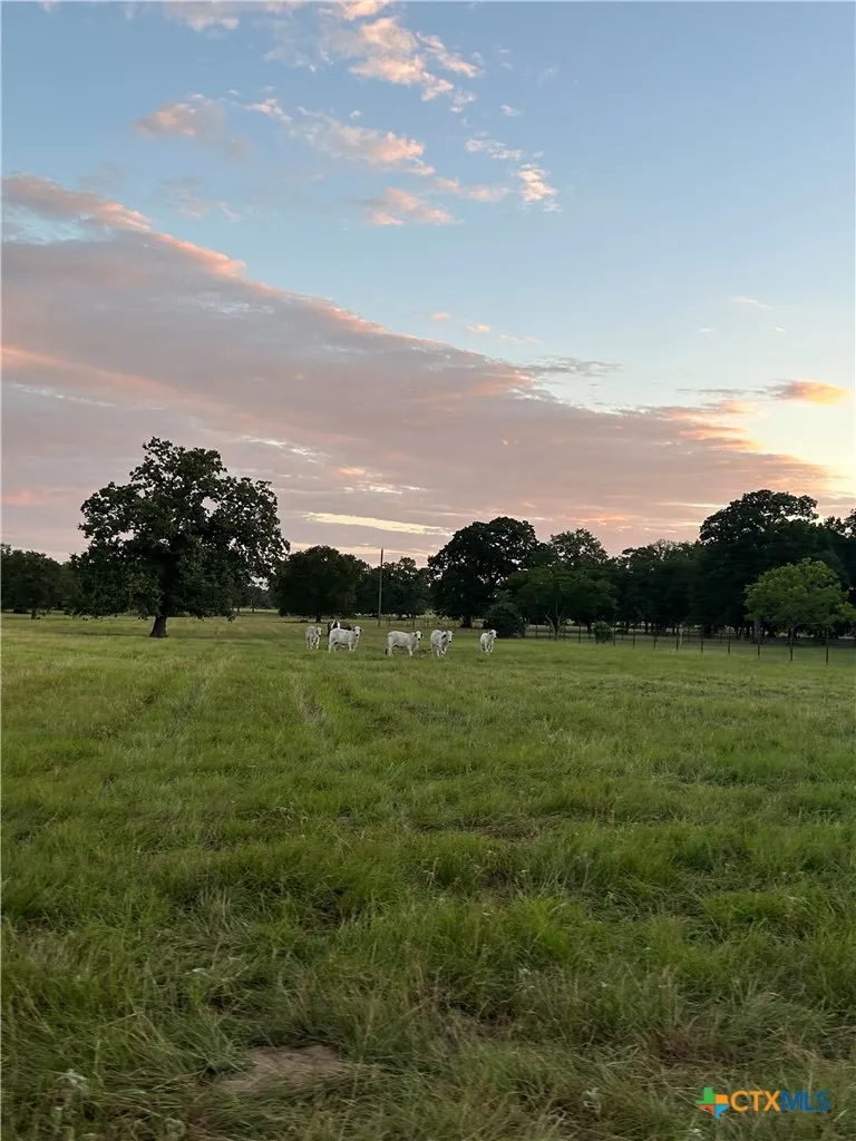 8058 Milam County Road 455 Lexington, TX 78947