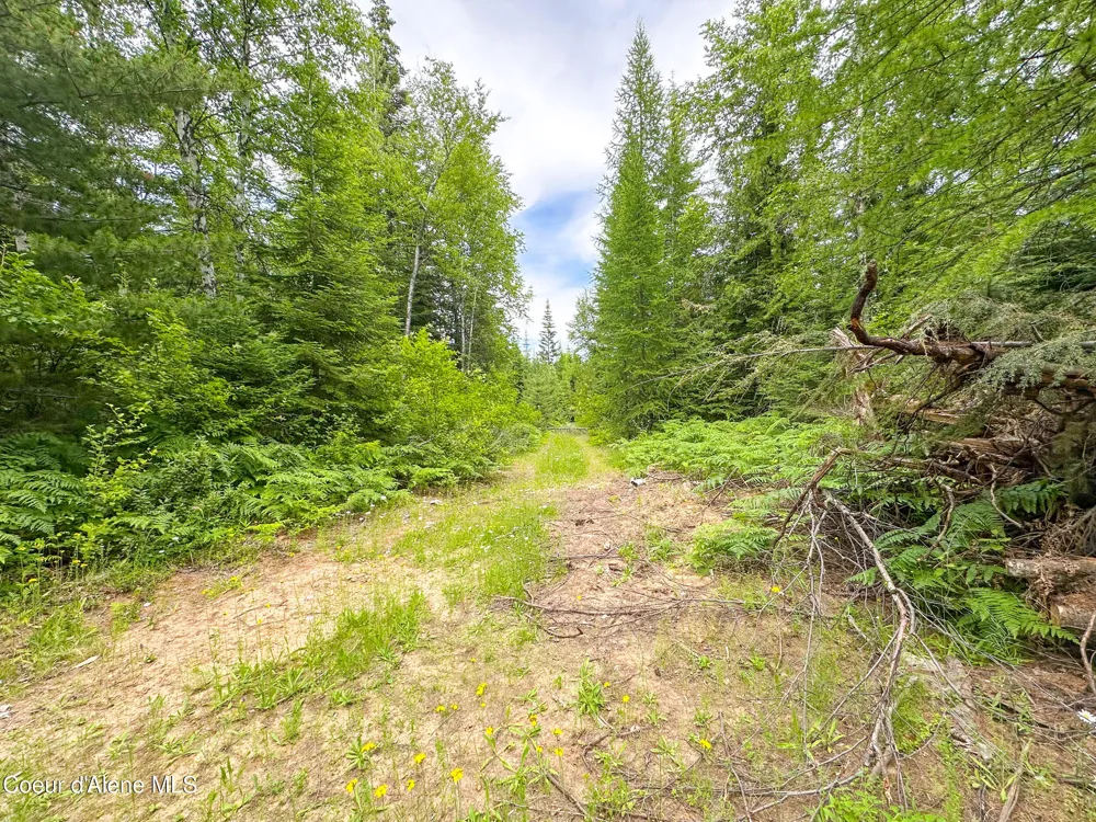 2489 Center Valley Road Sandpoint, ID 83864
