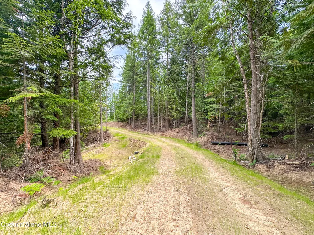 2489 Center Valley Road Sandpoint, ID 83864