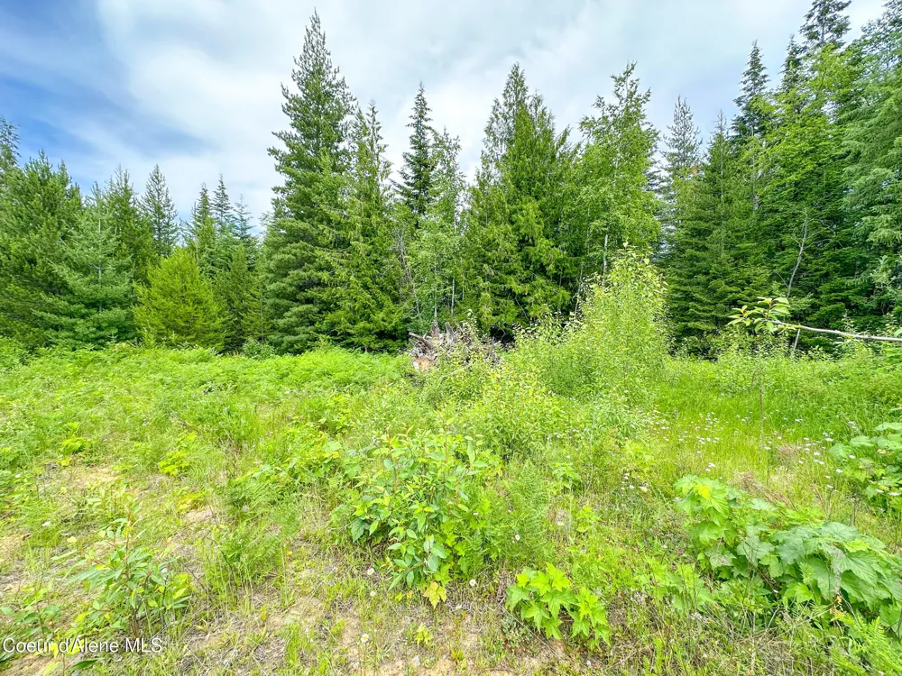 2489 Center Valley Road Sandpoint, ID 83864