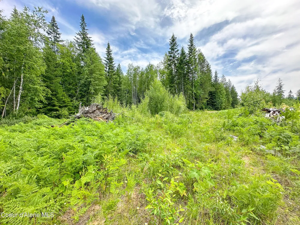 2489 Center Valley Road Sandpoint, ID 83864
