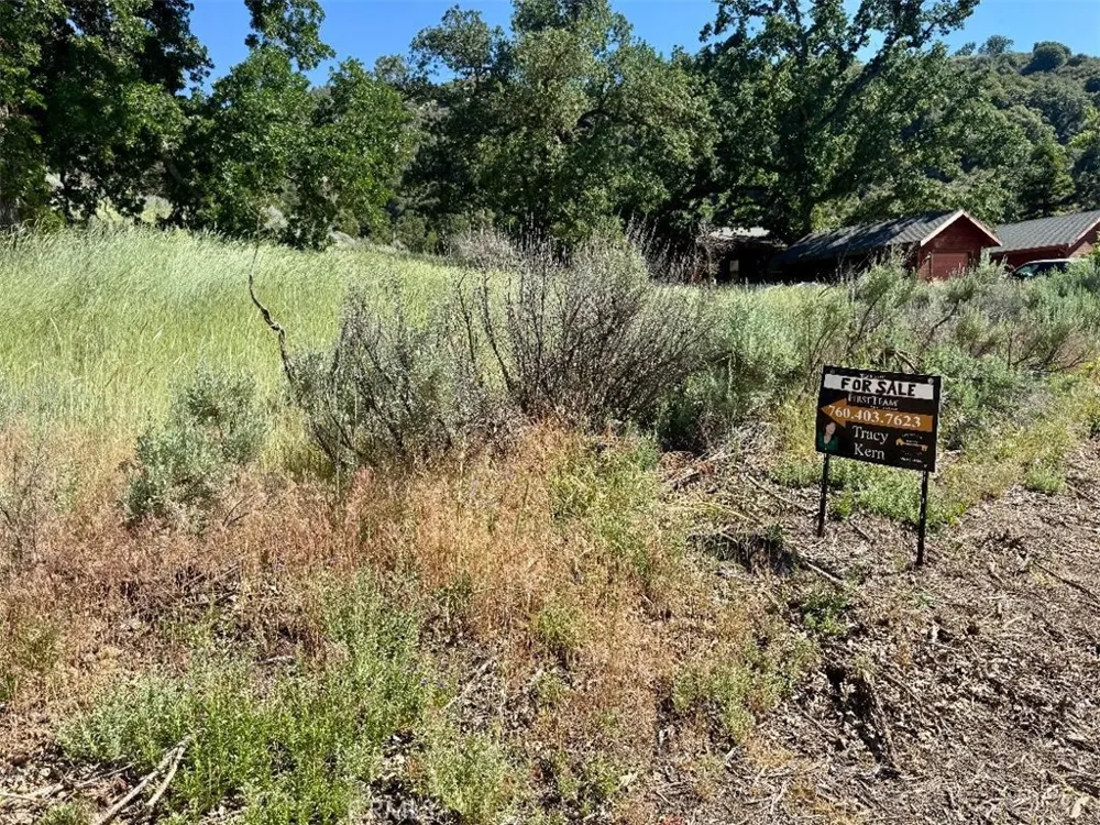 Butterfield Way Bear Valley Springs, CA 93561