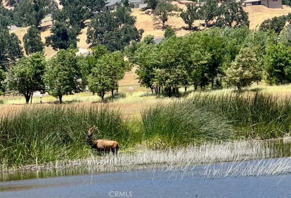 Butterfield Way Bear Valley Springs, CA 93561