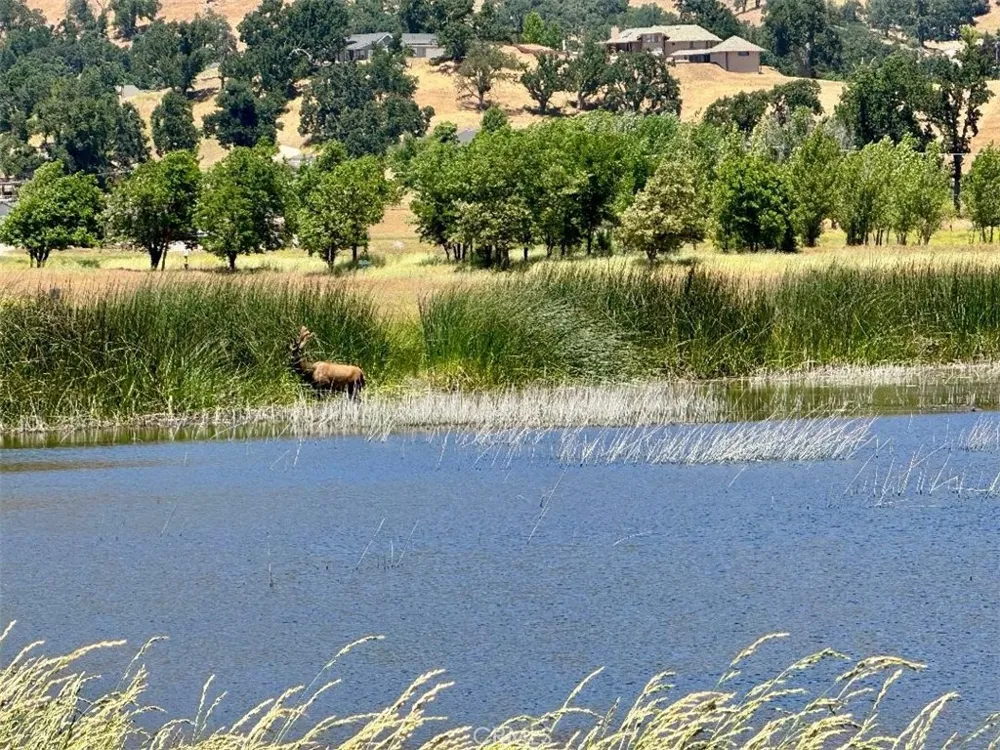 Butterfield Way Bear Valley Springs, CA 93561