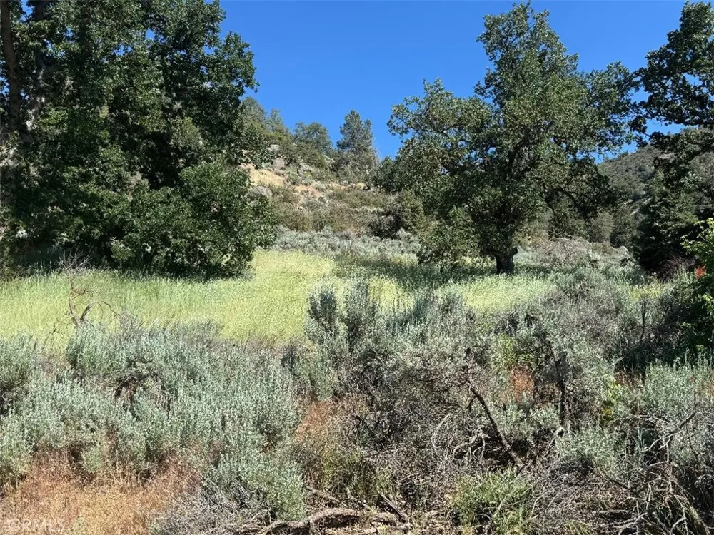Butterfield Way Bear Valley Springs, CA 93561