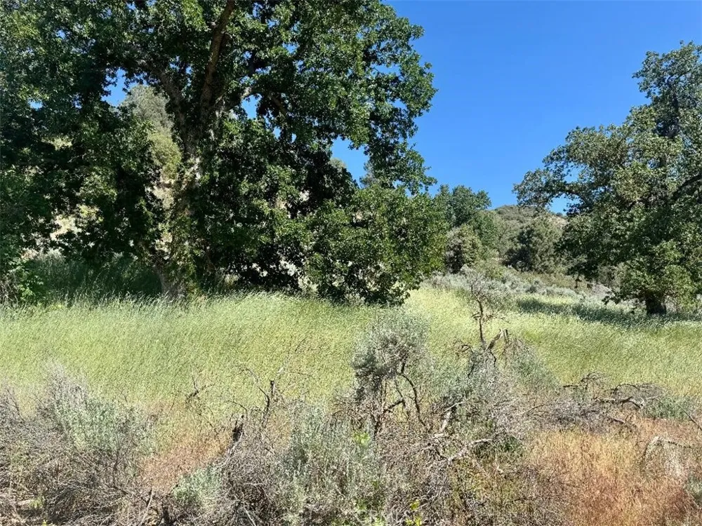 Butterfield Way Bear Valley Springs, CA 93561