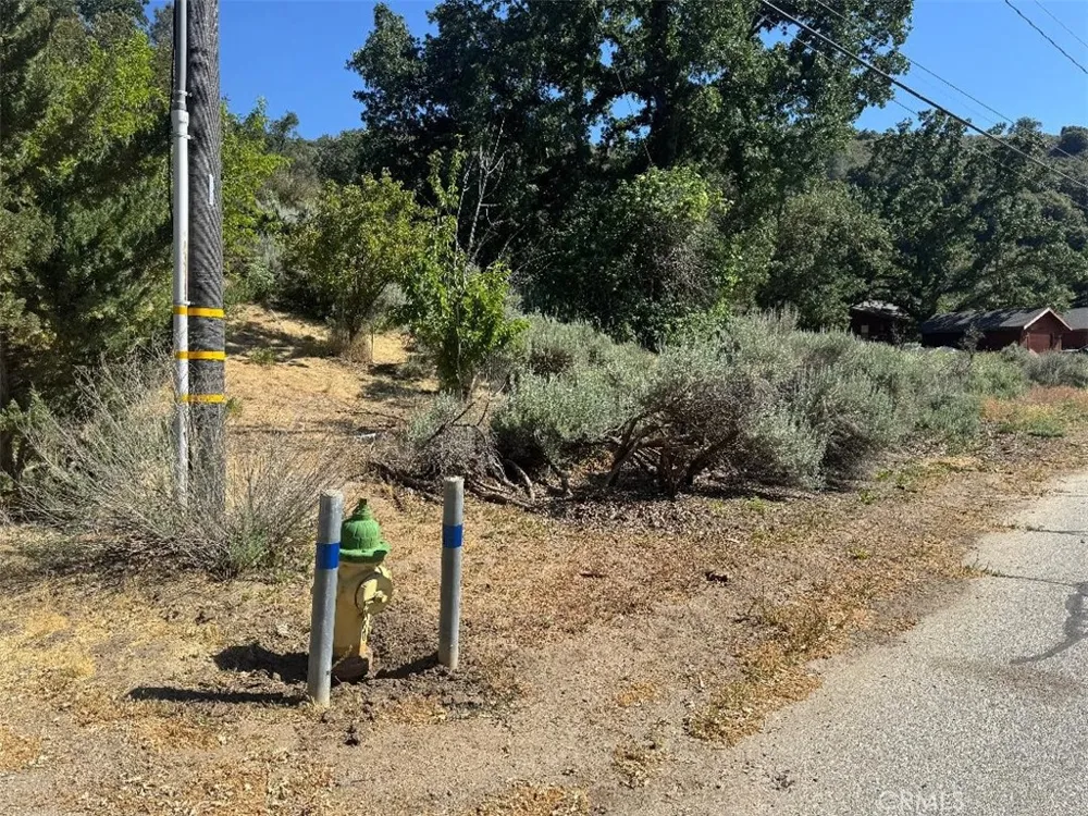 Butterfield Way Bear Valley Springs, CA 93561