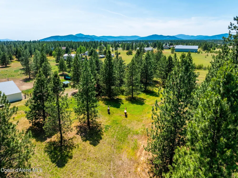 30267 WHEATRIDGE ROAD Athol, ID 83801
